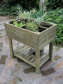 ORTOLEGNO ORTO CONIFERA PENSILE A P