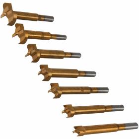 Forstner Foro Alesatura Cutter Legn