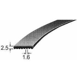 ASCIUGATRICE-CINGHIA-POLY-V BELT-19