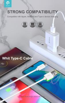 Suit Carica Batteria 2,4A 1 Uscita e Cavo Usb A - Type-C