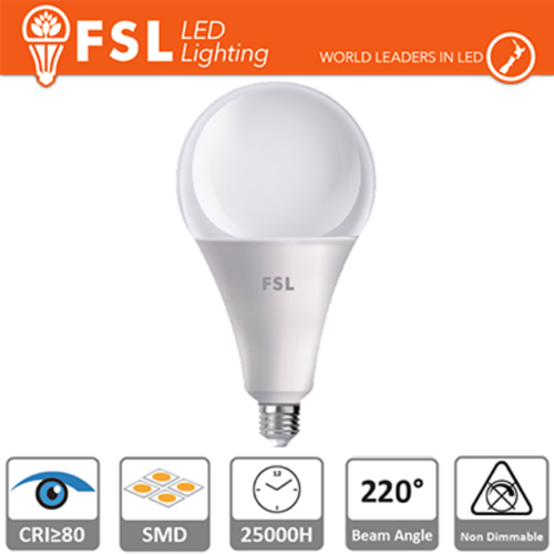 lampadina led bulbo a120 15000 ore 180-220-240 volt 24 lif fla120b24w30k27