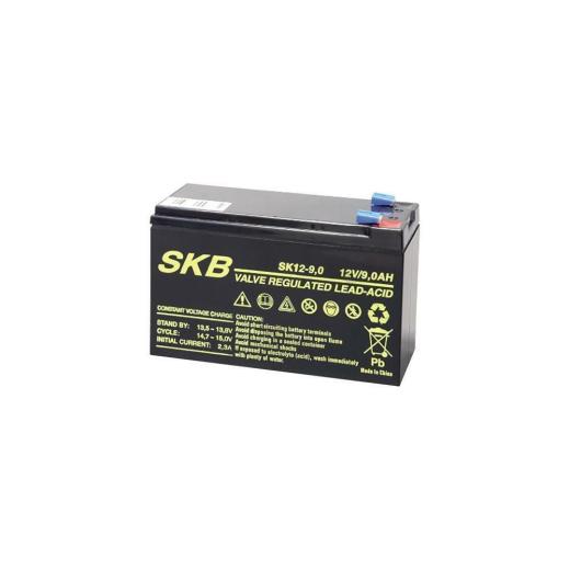 BATTERIA ERMETICA PIOMBO RICARICABILE 9 A Ah 12 V UPS GRUPPO DI CONTINUITA
