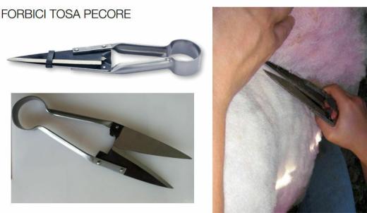 FORBICI PER PECORE PER TOSARE PECORE TOSATURA CAPRE CM 33 IN ACCIAIO TEMPERATO