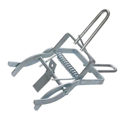 Trappola talpa 210mm lotta antiparassitaria cattura eseguire controllo
