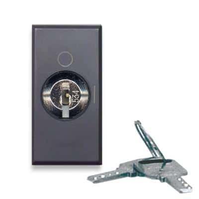 PULSANTE A CHIAVE 2P NA 10A FORNITO CON 2 CHIAVI - TEKLA