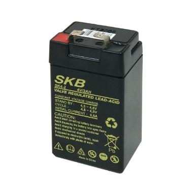 Batteria al piombo skb 4v 2ah sk4-2 f1