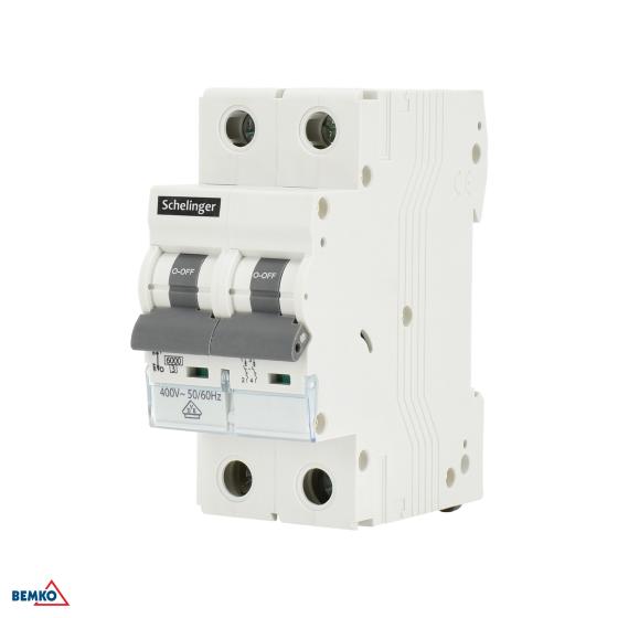 INTERRUTTORE DI SOVRACORRENTE 6KA 2P C 20A VDE SCHELINGER