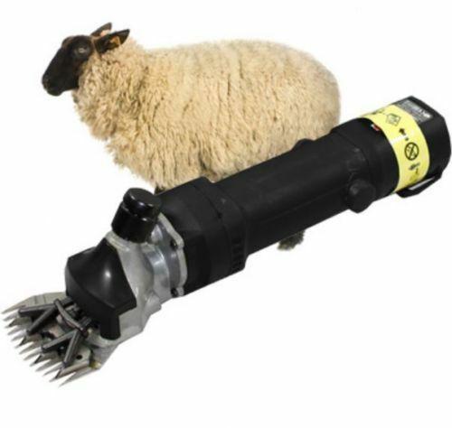 TOSATRICE TOSAPECORE PROFESSIONALE PER PECORE E OVINI 320WATT TOSA PECORA