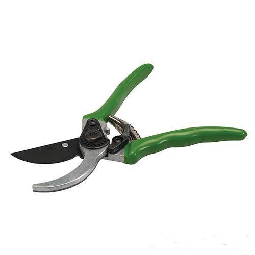 FORBICE PER VIGNA GIARDINO FIORI PIANTE POTATURA POTA 200 mm