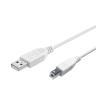 Cavo usb 2.0 spina a / spina b 1m - bianco